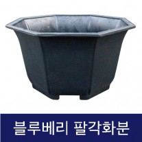 고무다라-팔각화분 (블루베리)